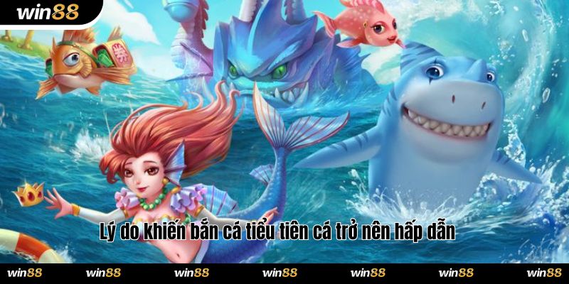 Lý do khiến bắn cá tiểu tiên cá trở nên hấp dẫn