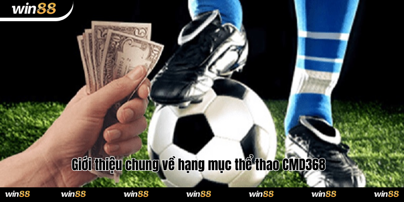 Giới thiệu chung về hạng mục thể thao CMD368