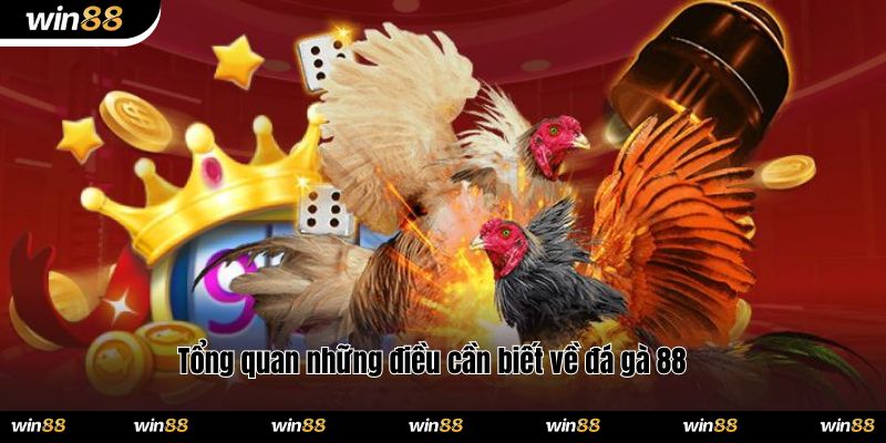 Tổng quan những điều cần biết về đá gà 88