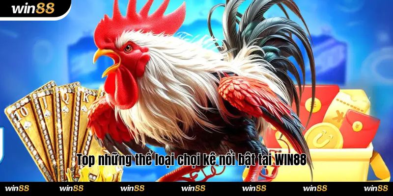 Top những thể loại chọi kê nổi bật tại WIN88 