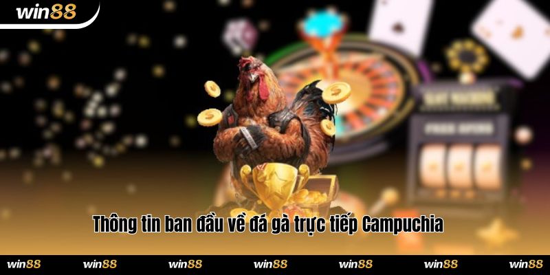 Thông tin ban đầu về đá gà trực tiếp Campuchia 