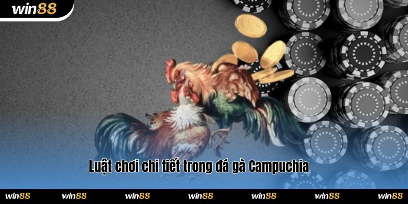Luật chơi chi tiết trong đá gà Campuchia 