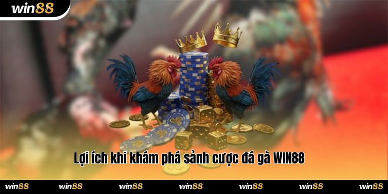 Lợi ích khi khám phá sảnh cược đá gà WIN88 