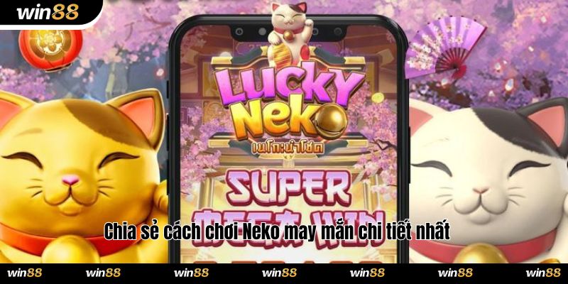 Chia sẻ cách chơi Neko may mắn chi tiết nhất