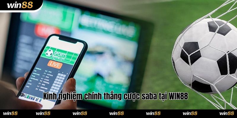 Kinh nghiệm chính thắng cược saba tại WIN88