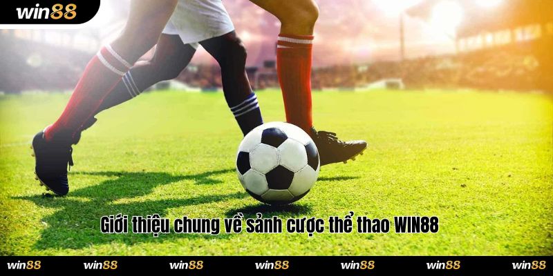 Giới thiệu chung về sảnh cược thể thao WIN88 